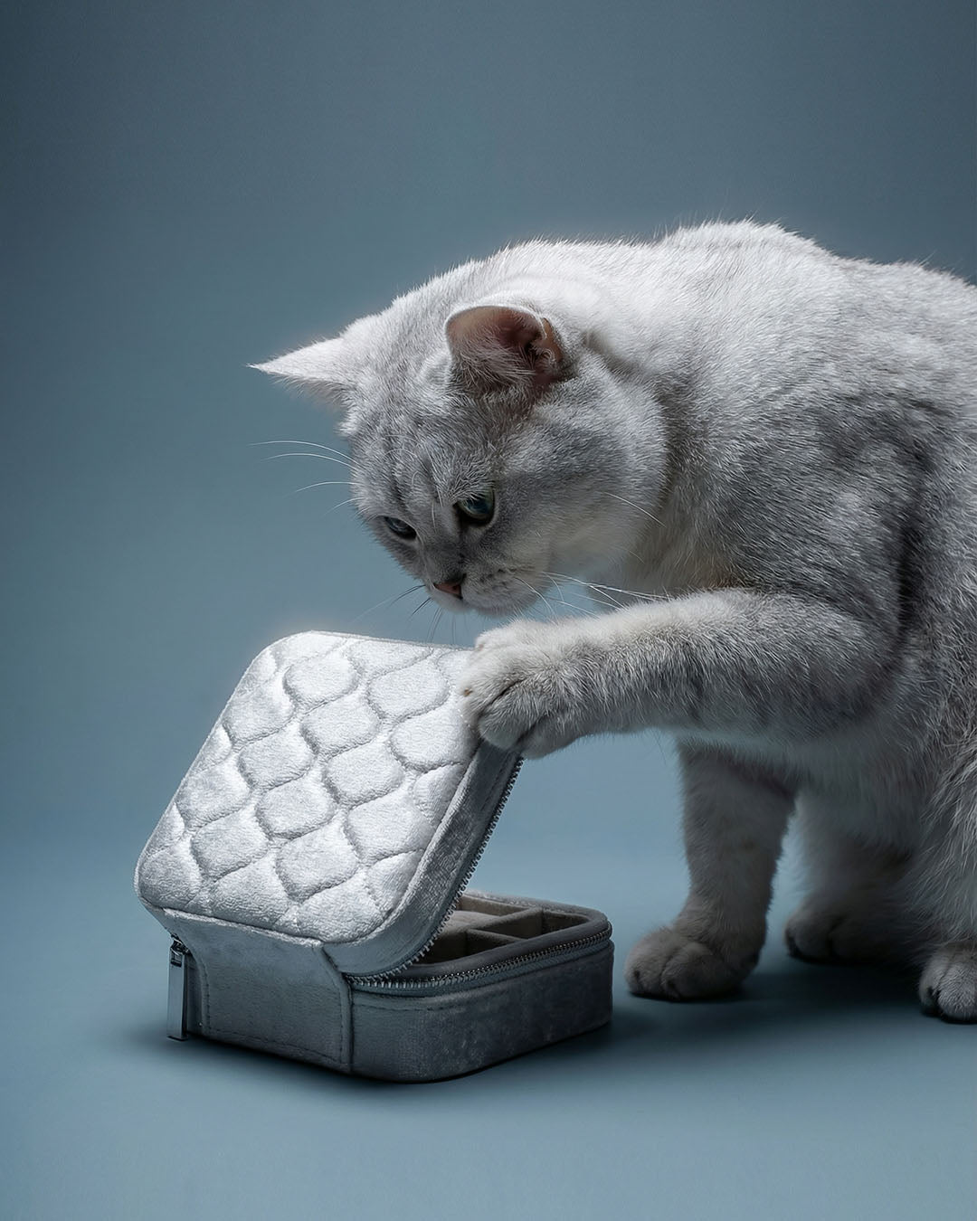 White on 霧灰絲絨首飾盒